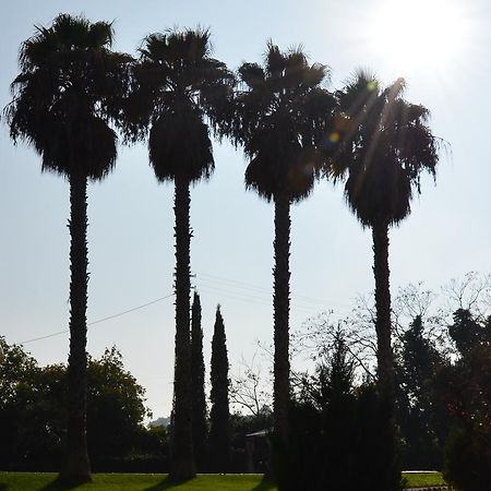 פורטו סן ג'ורג'יו Villa Montanari Rosati מראה חיצוני תמונה